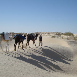 New Year Celebration In the Sahara