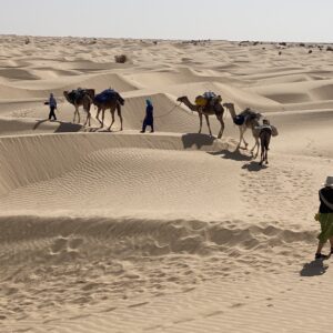 In the Footstep of Our Ancestors