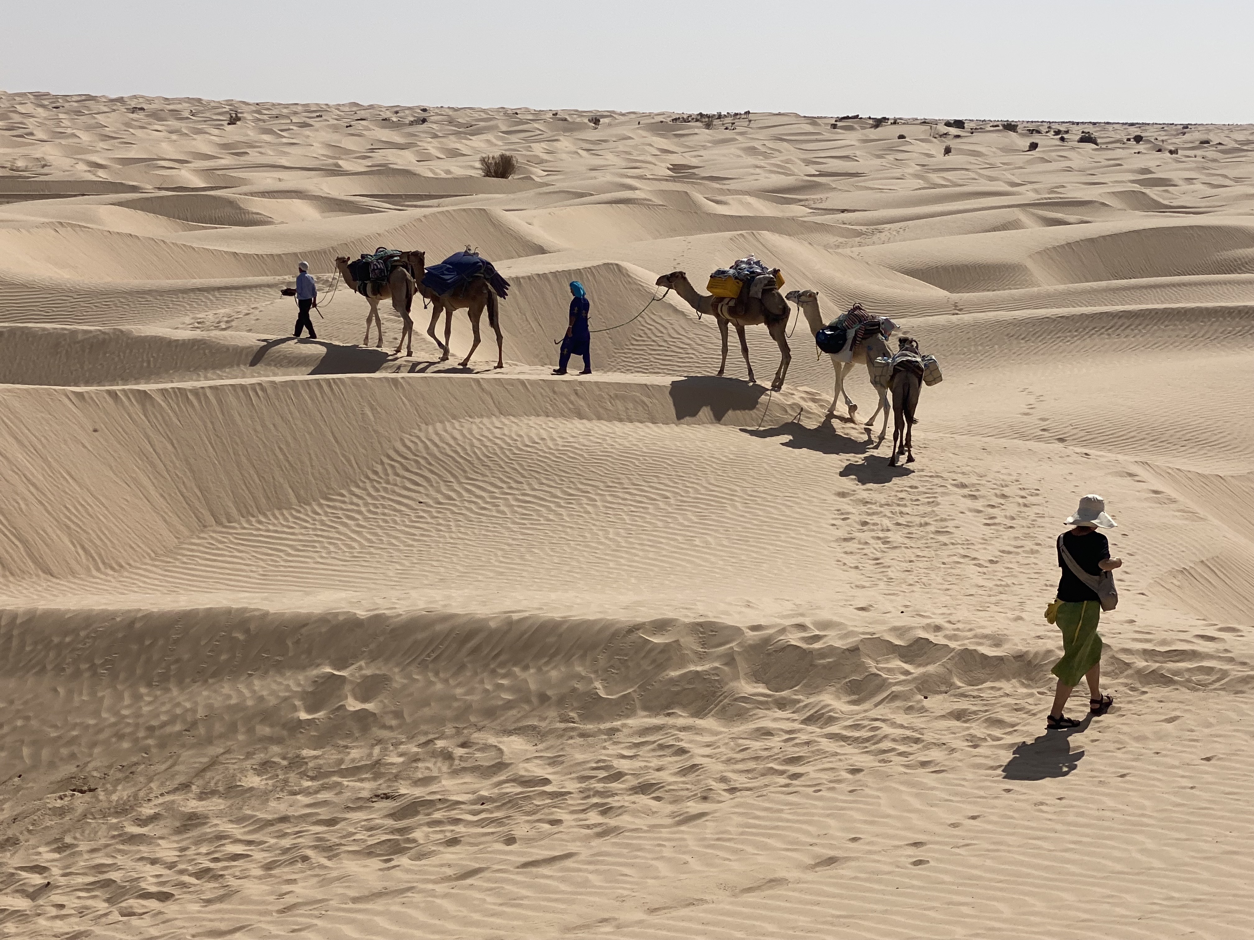 In the Footstep of Our Ancestors