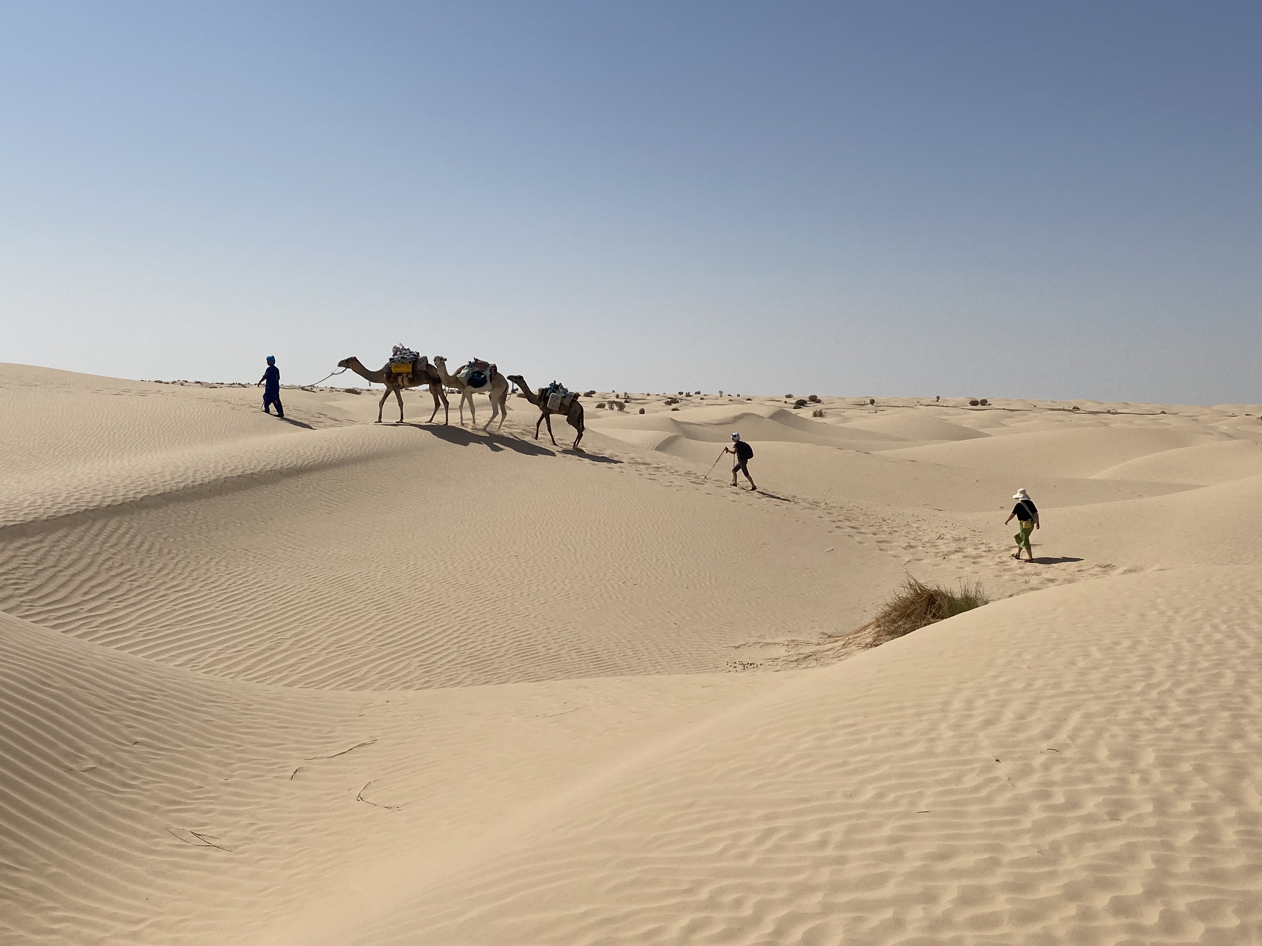 New Year Celebration In the Sahara - Image 18