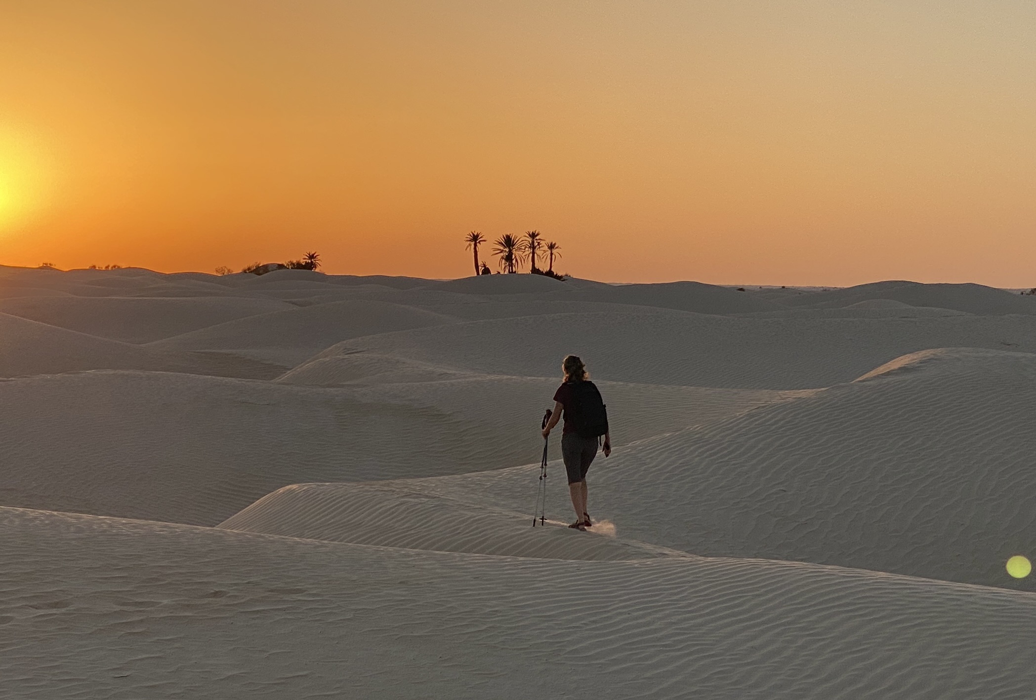 New Year Celebration In the Sahara - Image 25