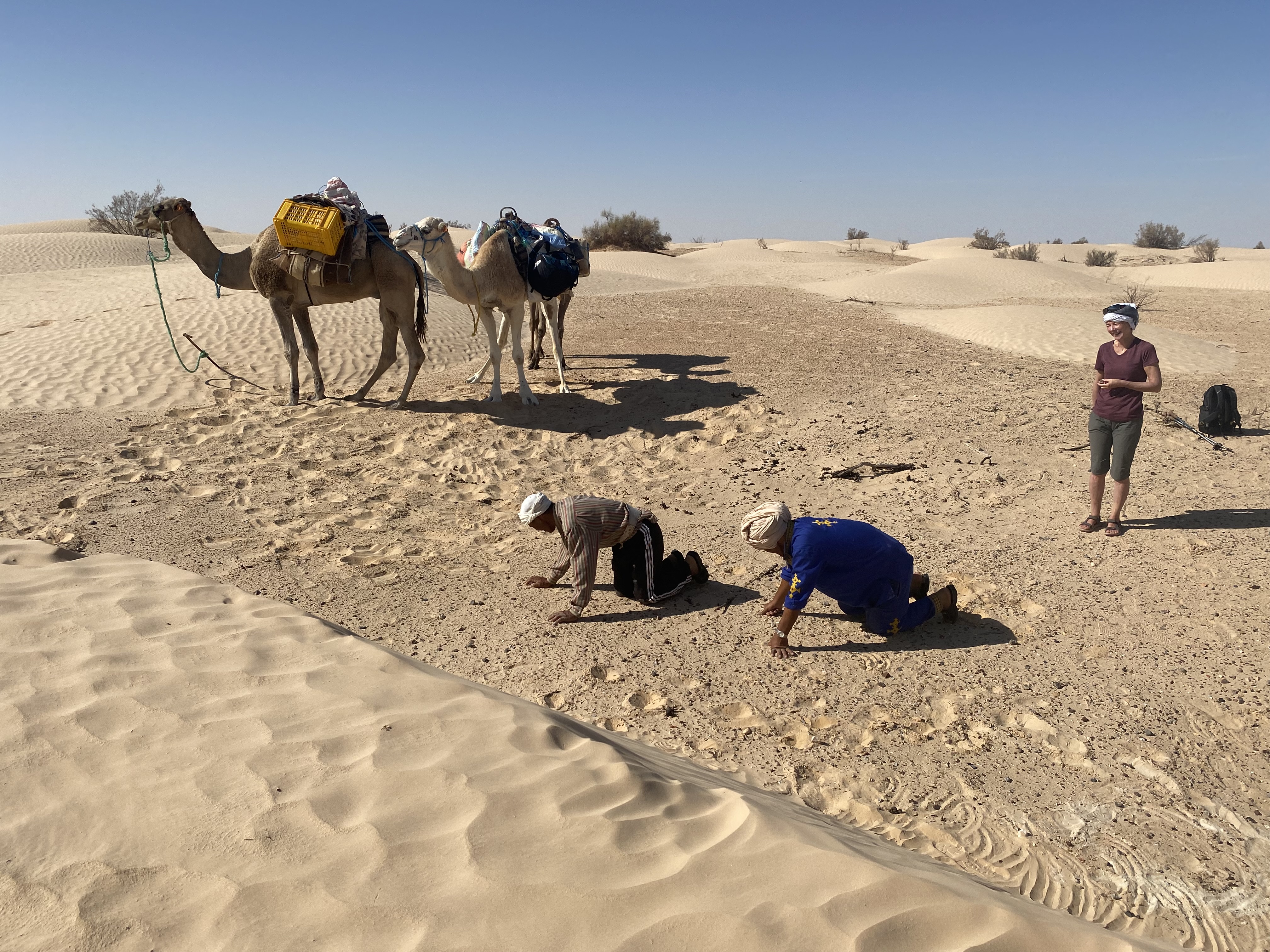 New Year Celebration In the Sahara - Image 26