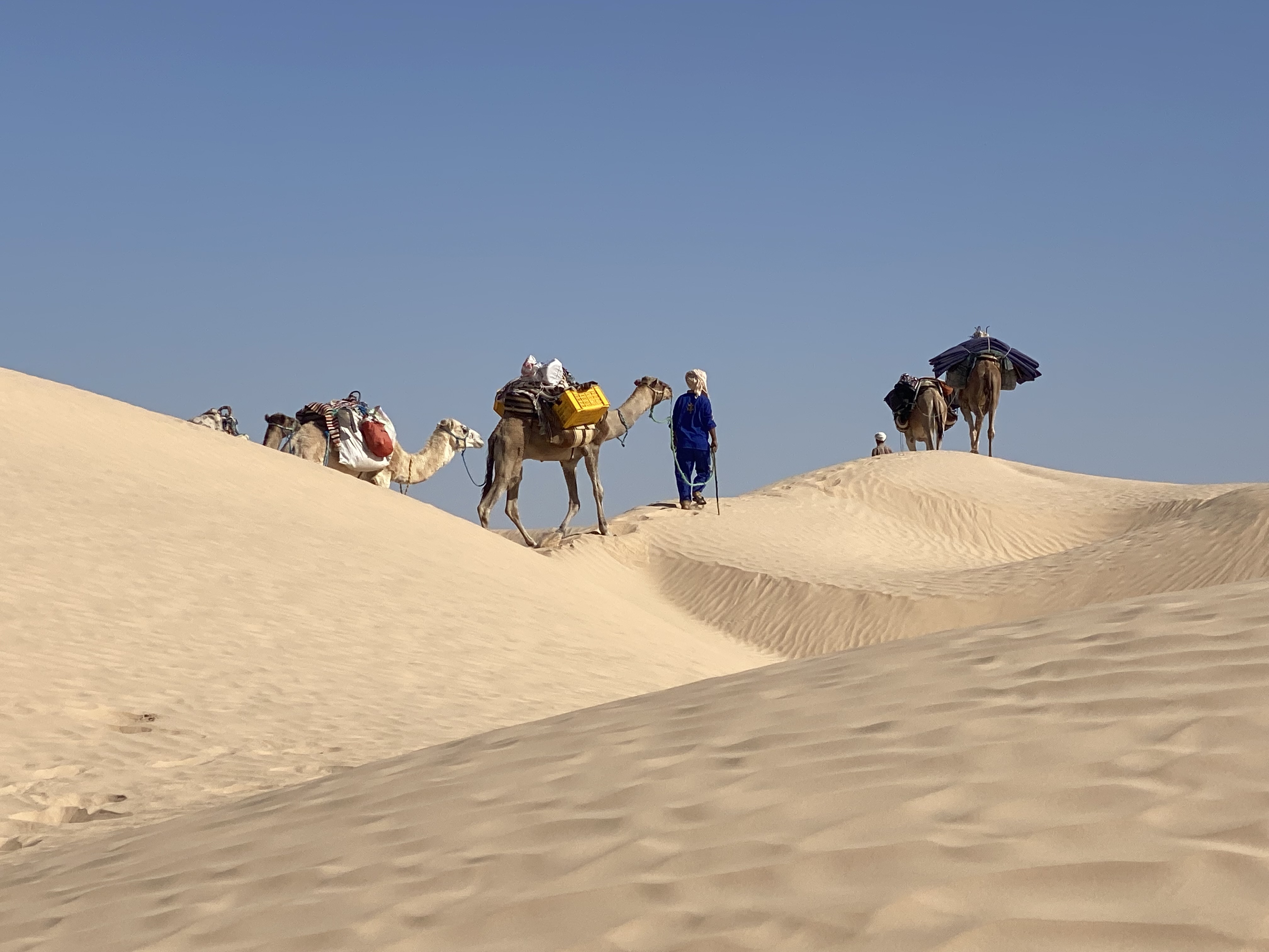 New Year Celebration In the Sahara - Image 27