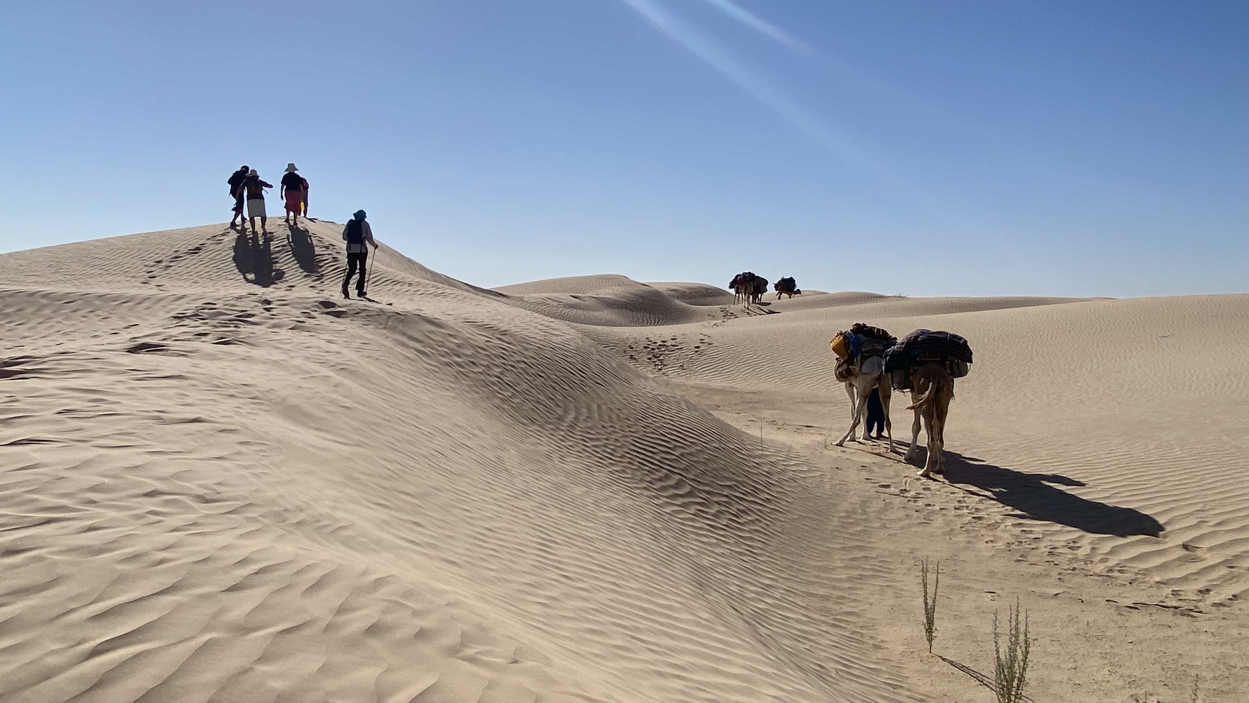 New Year Celebration In the Sahara - Image 9