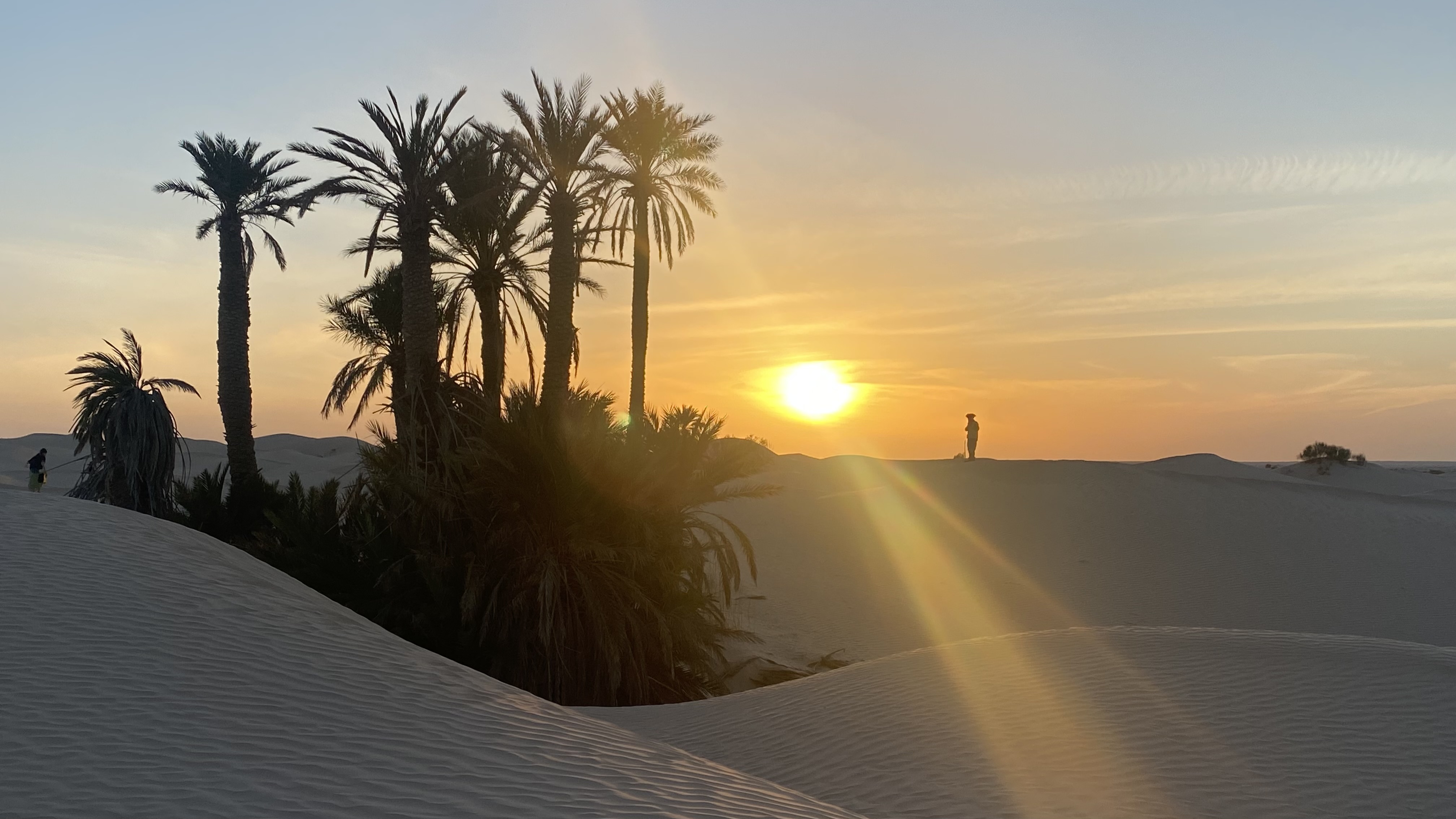 New Year Celebration In the Sahara - Image 4