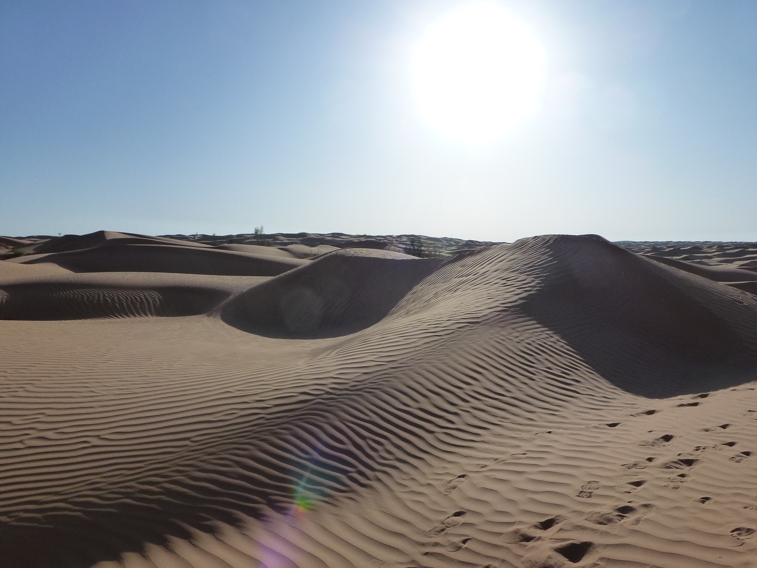New Year Celebration In the Sahara - Image 13