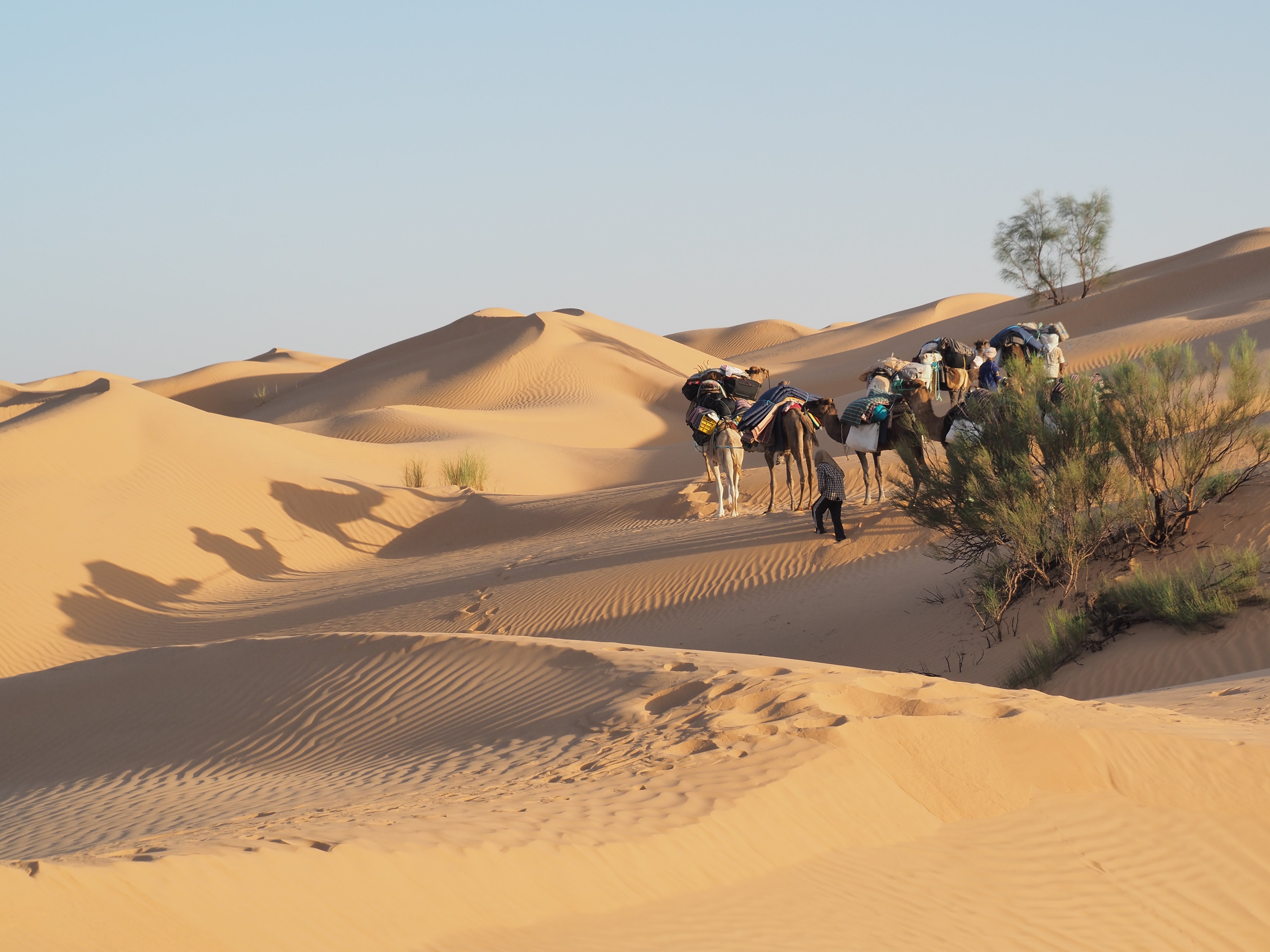 New Year Celebration In the Sahara - Image 14