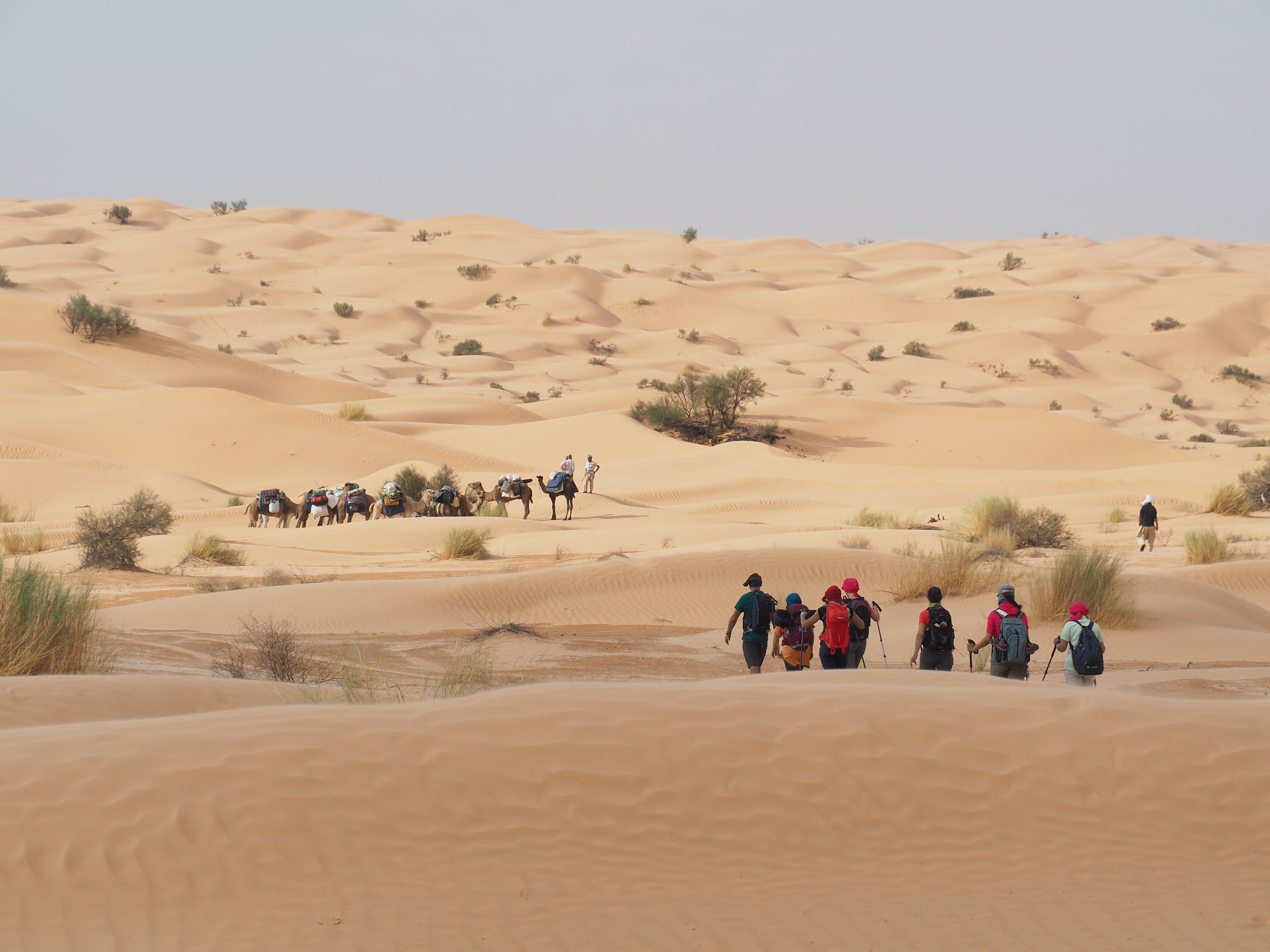 New Year Celebration In the Sahara - Image 12