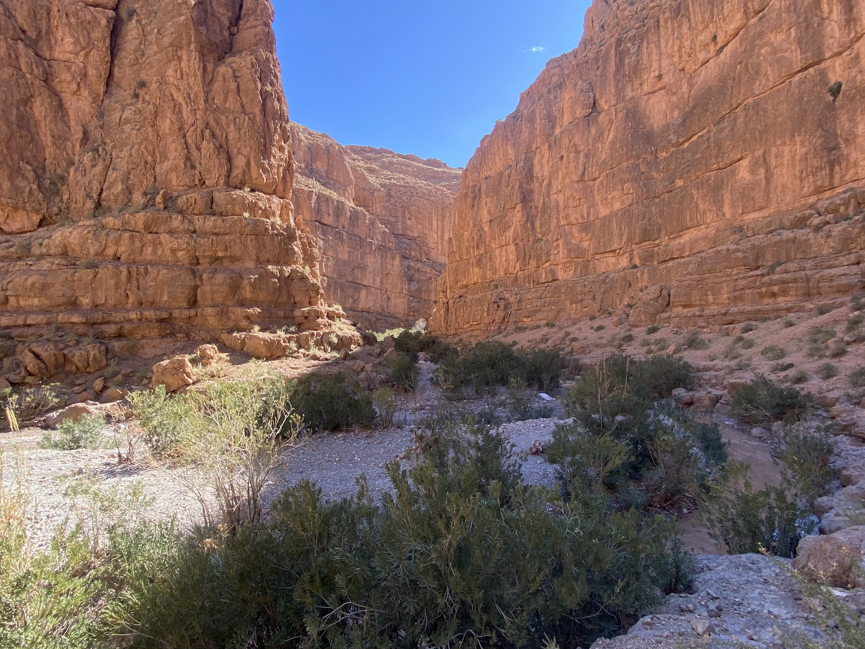 Mule Trek in the Valley of Roses - Image 6