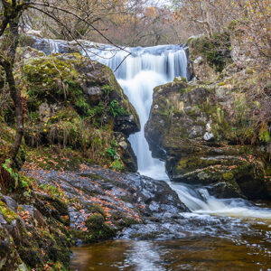 Serene waterfall amidst autumn foliage.