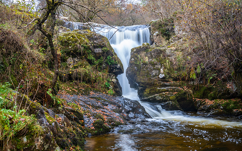Serene waterfall amidst autumn foliage.