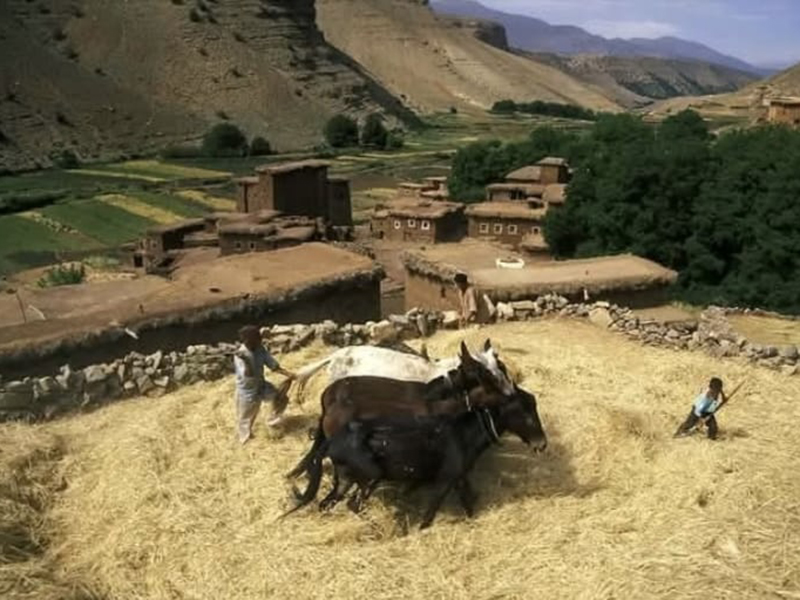 Discover the Aït Bouguemez Valley - Image 3
