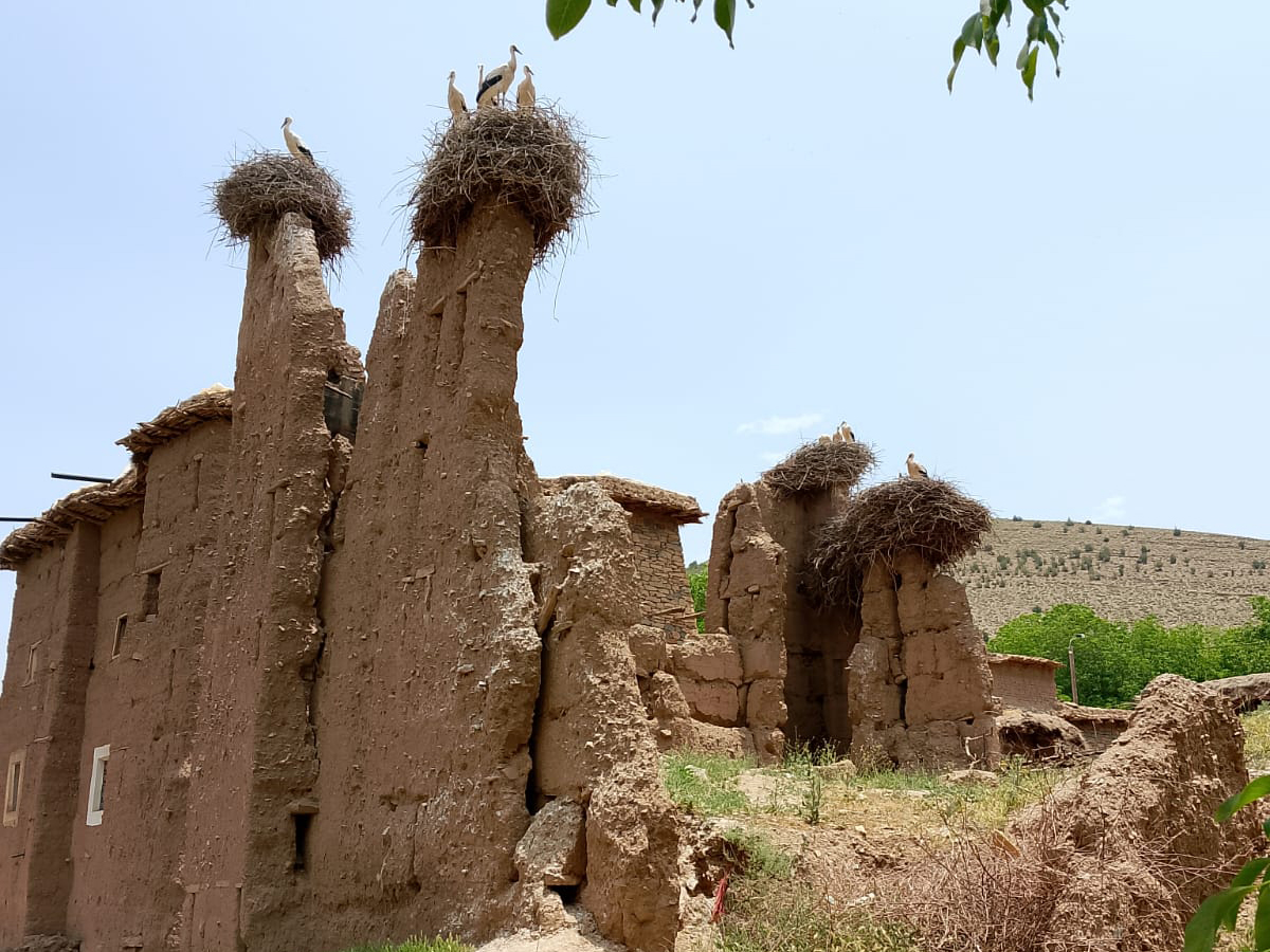 Discover the Aït Bouguemez Valley - Image 2